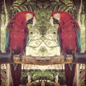 Meet your Posher, 1aries